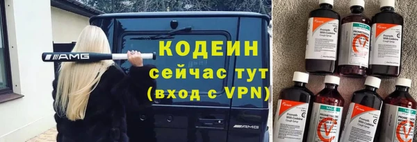 гидра Бородино